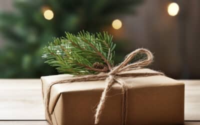 Cadeau de Noël Éco-Responsable : Surprenez avec des Présents Qui Font la Différence