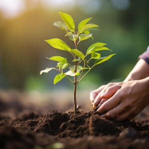 Jardinage Écologique : Techniques et astuces pour un jardin respectueux de l’environnement